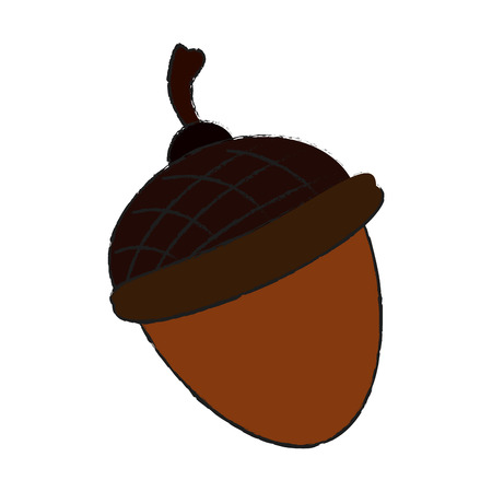 two acorn icon image vector illustration graphic designのイラスト素材