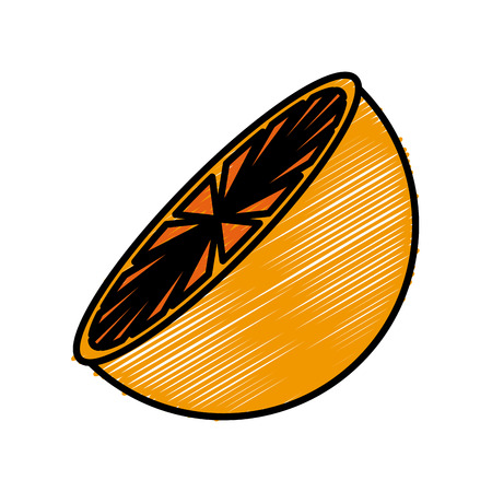 Orange half cut icon vector illustration graphic designのイラスト素材