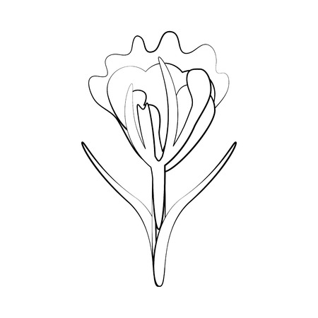 Beautiful flower plant icon vector illustration graphic designのイラスト素材