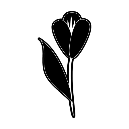 Beautiful flower plant icon vector illustration graphic designのイラスト素材