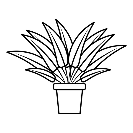 Plant in vase icon vector illustration graphic designのイラスト素材