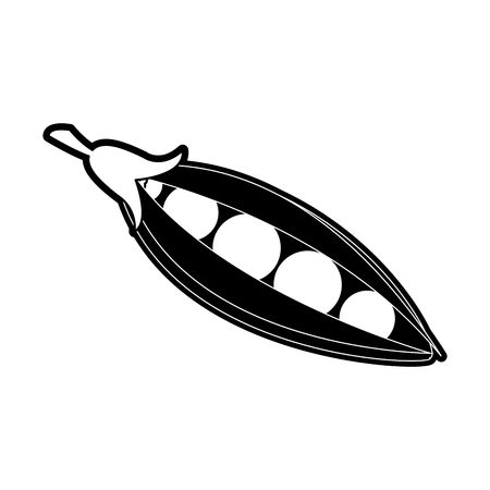 Fresh peas vegetable icon vector illustration graphic designのイラスト素材