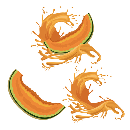 Melon fruits splash icon vector illustration graphic designのイラスト素材