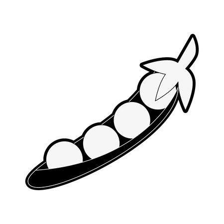 Fresh peas vegetable icon vector illustration graphic designのイラスト素材