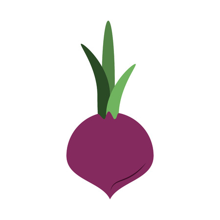 Onion vegetable isolated icon vector illustration graphic designのイラスト素材