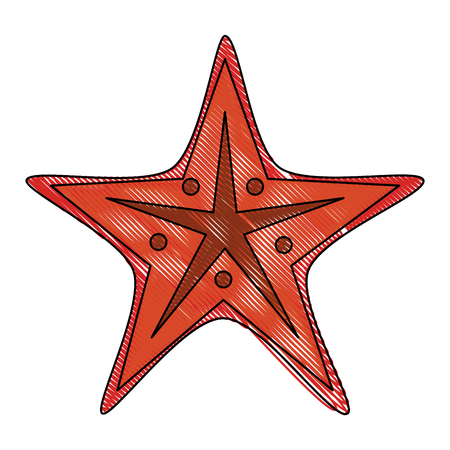 Sea star isolated icon vector illustration graphic designのイラスト素材