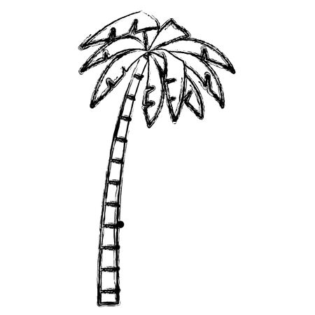 Tree palm isolated icon vector illustration graphic designのイラスト素材
