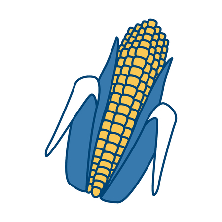 Fresh corn isolated icon vector illustration graphic designのイラスト素材