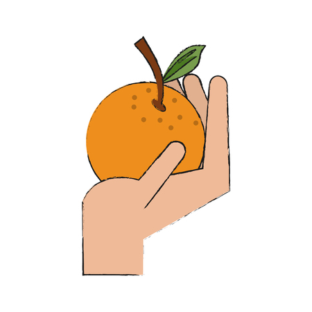 Hand with orange icon vector illustration graphic designのイラスト素材