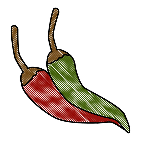 Hot spicy chillis icon vector illustration graphic designのイラスト素材
