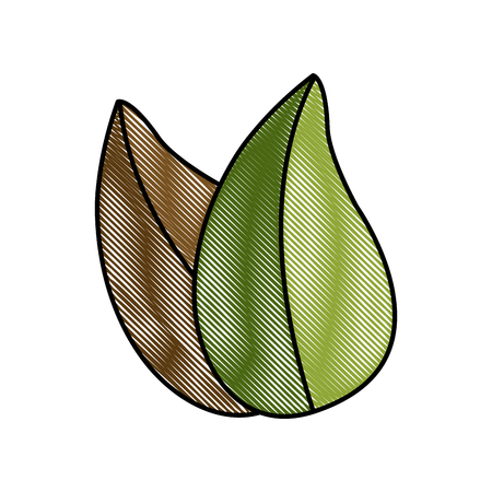 Leaves eco symbol icon vector illustration graphic designのイラスト素材