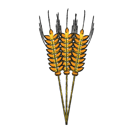 Wheat leaves symbol icon vector illustration graphic designのイラスト素材