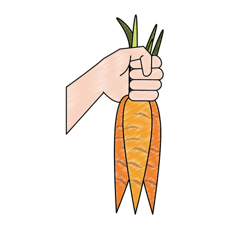 Hand with carrots icon vector illustration graphic designのイラスト素材