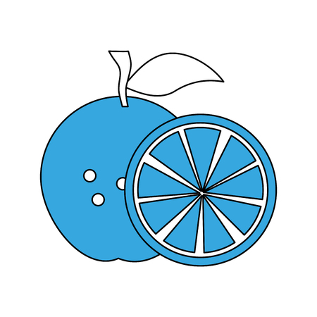 Orange citric fruit icon vector illustration graphic designのイラスト素材