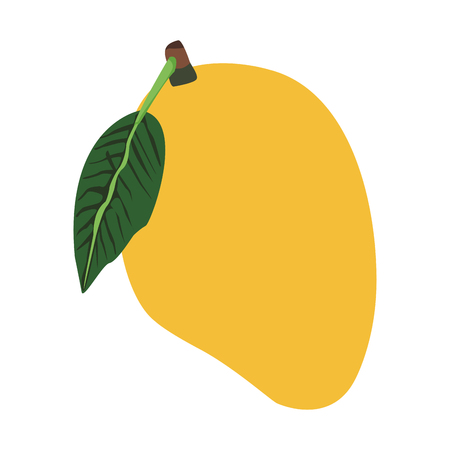 Mango sweet fruit vector illustration graphic designのイラスト素材