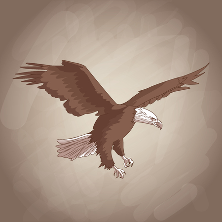Eagle drawing over brown background vector illustration graphic designのイラスト素材