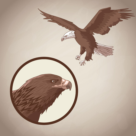 Illustration of eagle over brown backgroundのイラスト素材