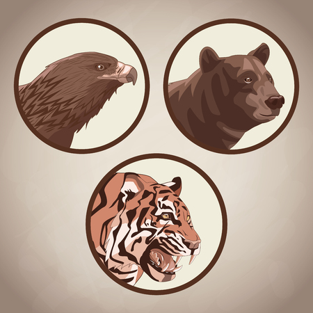 Eagle, tiger and bear drawing  over brown background vector illustration graphic designのイラスト素材
