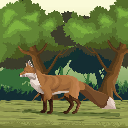 Fox in the jungle vector illustration graphic designのイラスト素材
