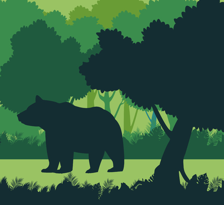 Bear in the jungle shadows vector illustration graphic designのイラスト素材