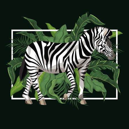 Zebra with leaves around vector illustration graphic designのイラスト素材