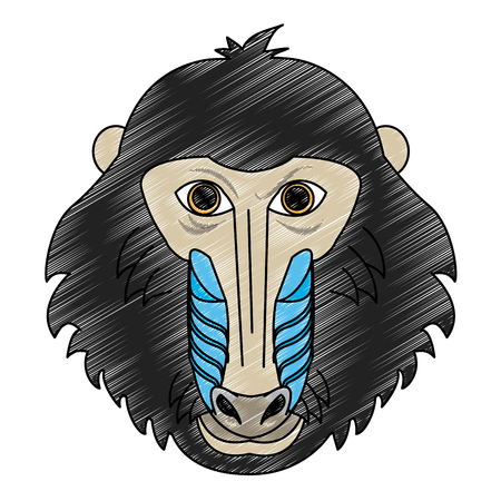 Mandrel monkey Wild animal head vector illustration graphic designのイラスト素材