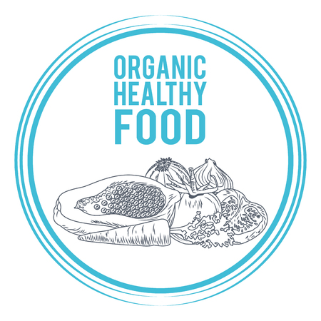 Organic healthy food hand drawings in black and white colors vector illustrationのイラスト素材