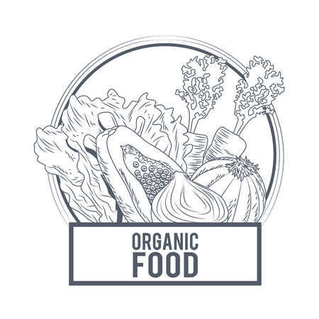 Organic healthy food hand drawings in black and white colors vector illustrationのイラスト素材