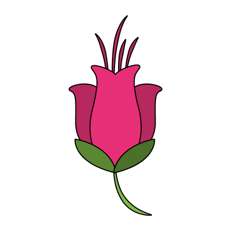Beautiful flower cartoon vector illustration graphic designのイラスト素材