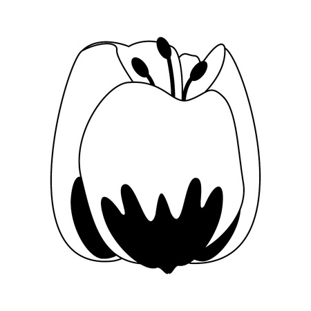 Beautiful flower symbol vector illustration graphic designのイラスト素材