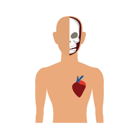 Human body anatomy cartoon vector illustration graphic designのイラスト素材
