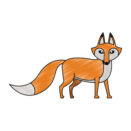 Fox wild animal vector illustration graphic designのイラスト素材