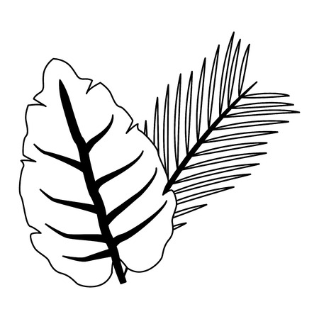 Leaves nature symbol vector illustration graphic designのイラスト素材
