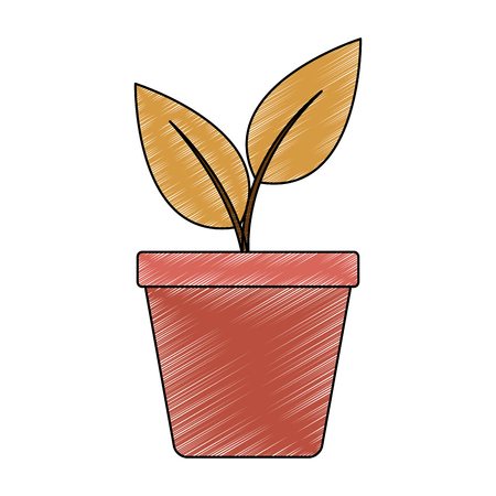 Plant in pot vector illustration graphic designのイラスト素材