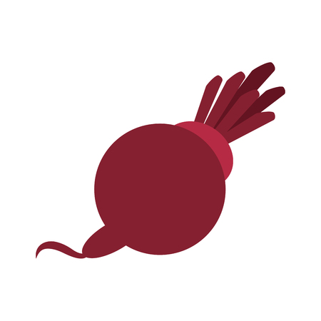 Radish half cut fresh vegetable isolated vector illustration graphic designのイラスト素材