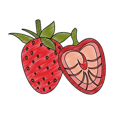 Strawberry half cut fruit vector illustration graphic designのイラスト素材