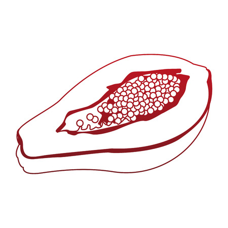 Papaya sweet fruit vector illustration graphic designのイラスト素材