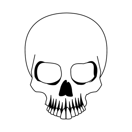 Human skull drawing vector illustration graphic designのイラスト素材