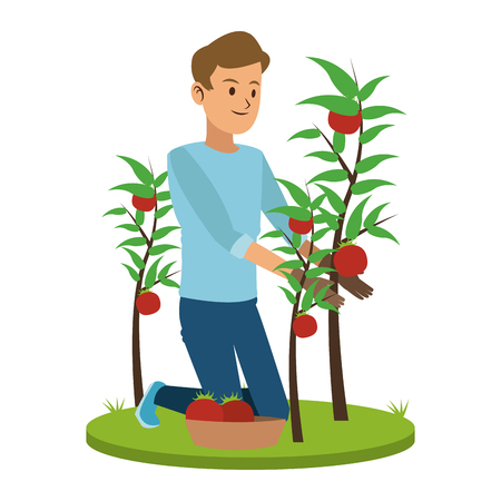 Man with tomato harvest vector illustration graphic designのイラスト素材