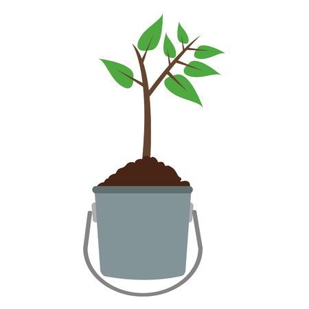 Plant in bucket vector illustration graphic designのイラスト素材