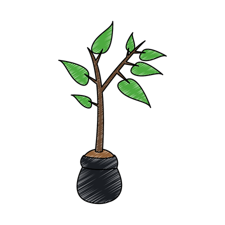 Plant in bag vector illustration graphic designのイラスト素材