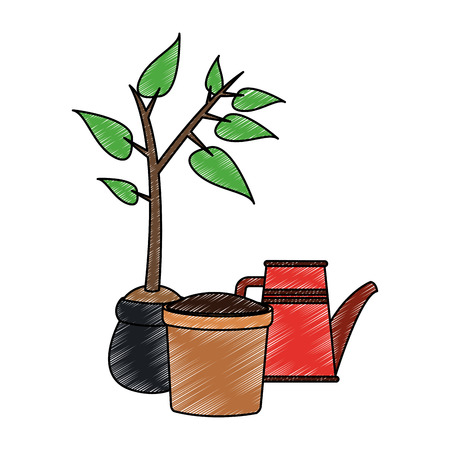 Plant with pot and water can vector illustration graphic designのイラスト素材