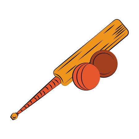 Cricket bat and balls vector illustration graphic designのイラスト素材
