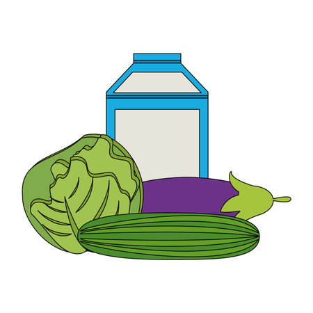 Lettuce eggplant and cucumber with milk box vector illustration graphic designのイラスト素材