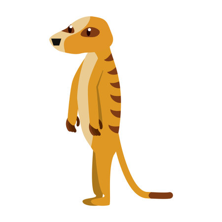 Meerkat wild animal cartoon vector illustration graphic designのイラスト素材