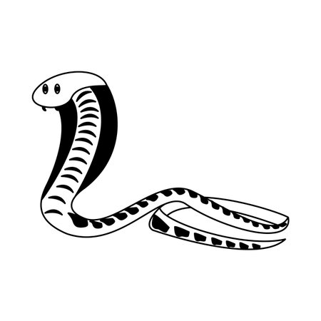 Cobra african snake vector illustration graphic designのイラスト素材