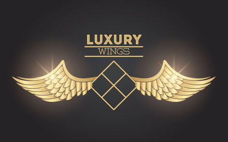 Luxury wings emblem in black and gold colors vector illustration graphic designのイラスト素材