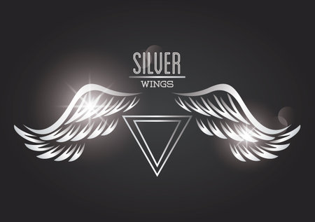 Luxury silver wings emblem over gray background concept vector illustration graphic designのイラスト素材