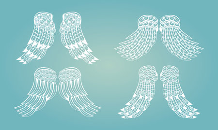 Set of wings drawings drawings over blue background vector illustration graphic design