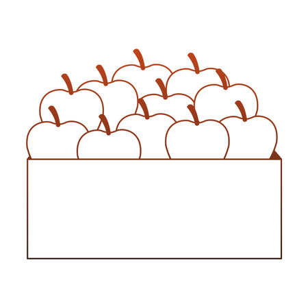 Apples inside box vector illustration graphic designのイラスト素材